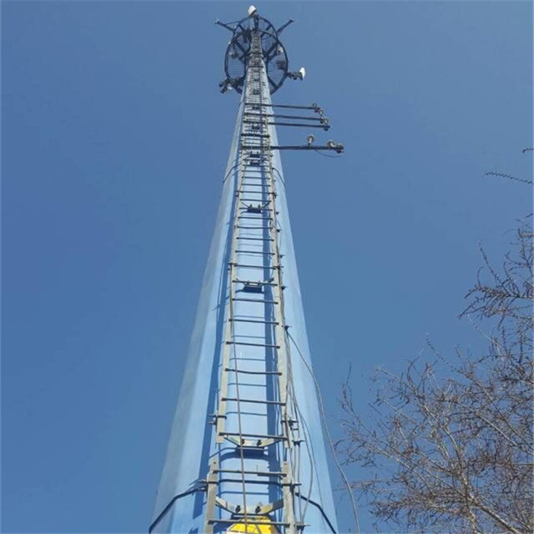 10002 (1)