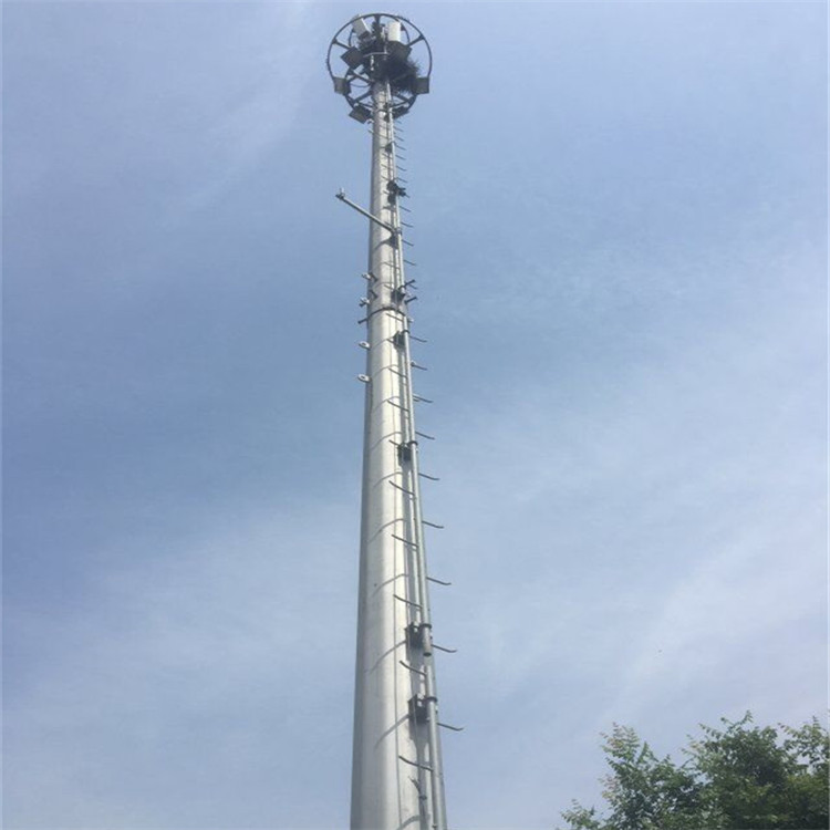 10004 (1)