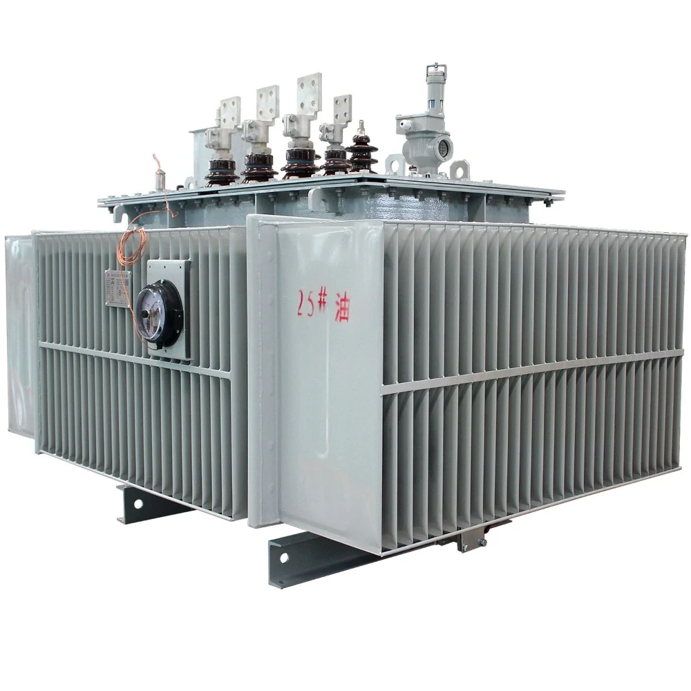 Customizable_10kV_SH15_SH21_SH25_Oil-immersed_Amorphous_Alloy_Core_Distribution_Transformer2 (2)